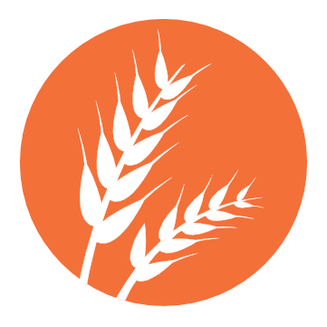 Image link