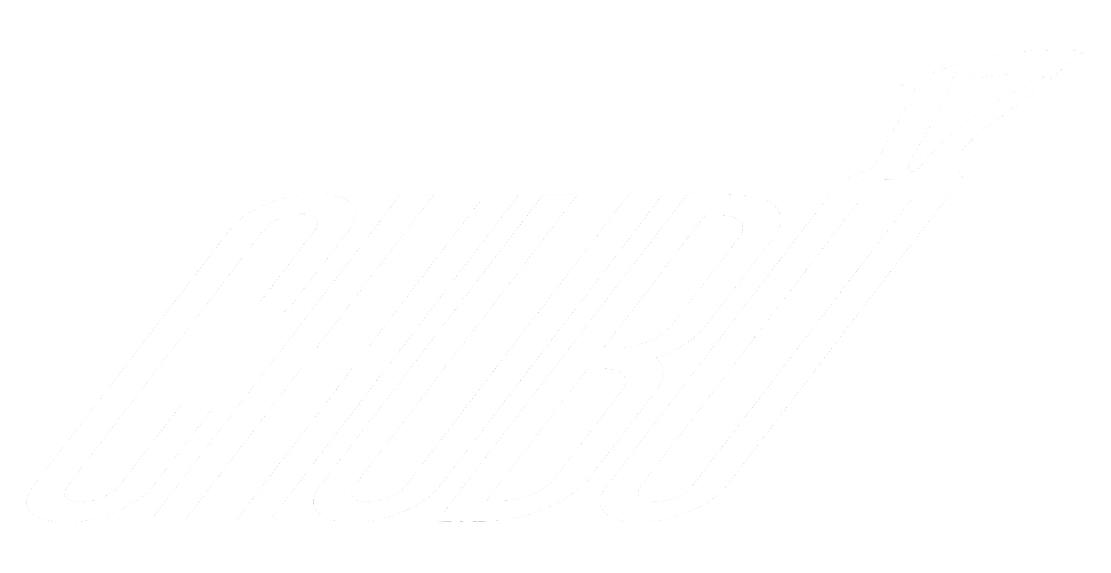 CHUBU17